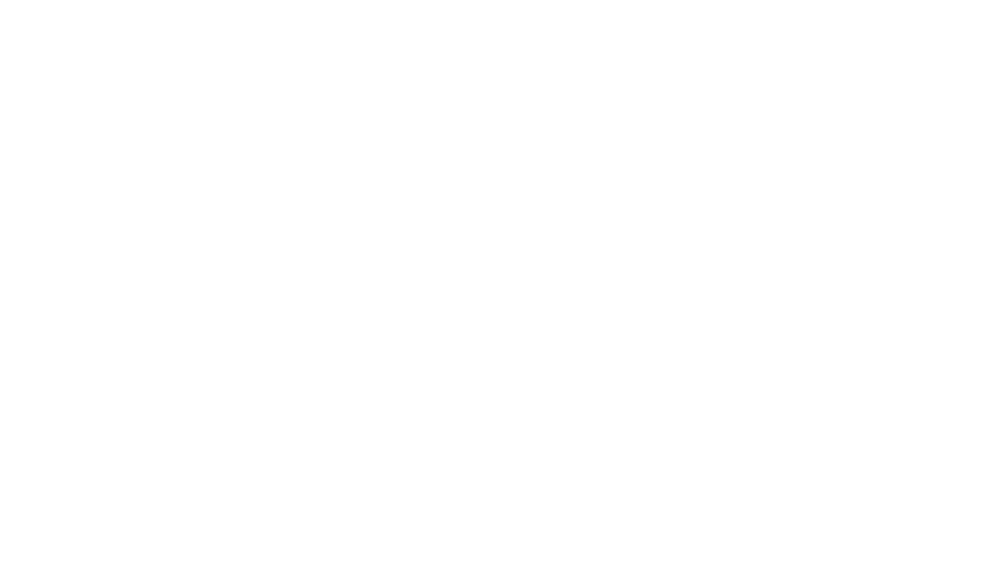 LevelOne Agency Logo Antwerpen